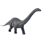 Apatosaurus