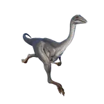 Archaeornithomimus