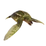 Archelon