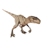 Atrociraptor