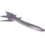Attenborosaurus