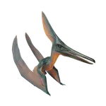 Barbaridactylus