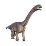 Camarasaurus