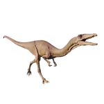 Coelophysis
