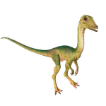 Compsognathus