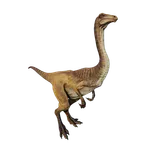Gallimimus