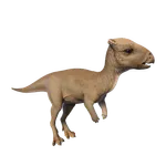 Homalocephale