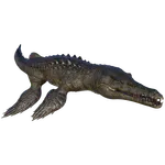 Liopleurodon