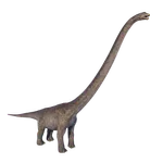 Mamenchisaurus