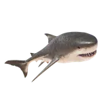 Megalodon