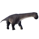 Nigersaurus