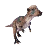 Pachycephalosaurus