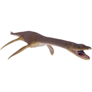 Plesiosaurus