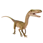 Segisaurus
