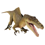 Spinoraptor