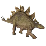 Stegosaurus