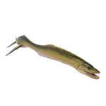 Styxosaurus